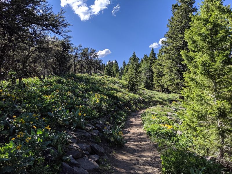 The Trail That Earns Its Reputation Without Trying Too Hard