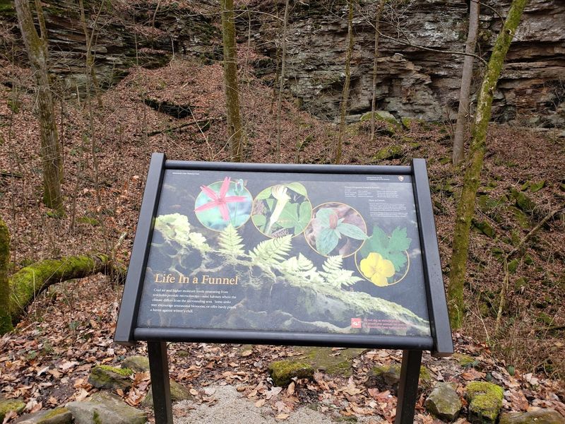 What Is This Trail