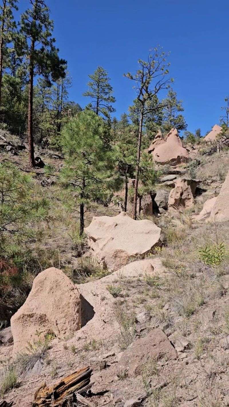 Where Hoodoos Rise From the Canyon Floor