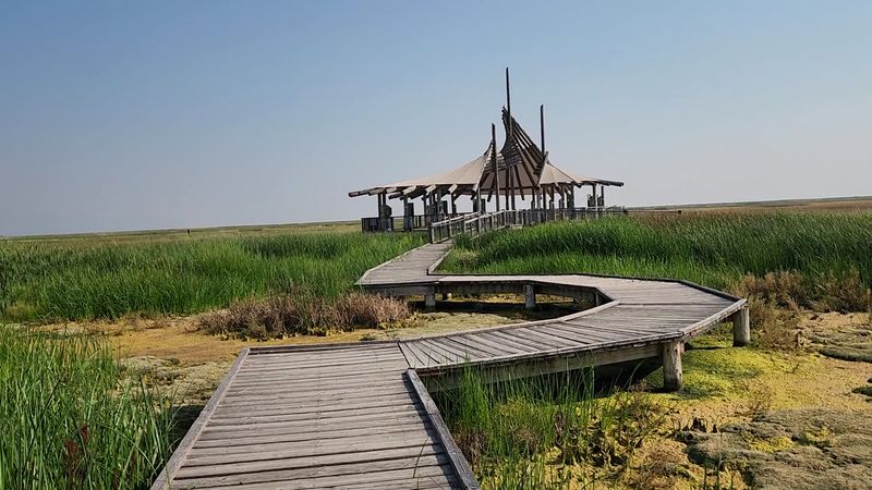 The Boardwalk That Does All the Work for You