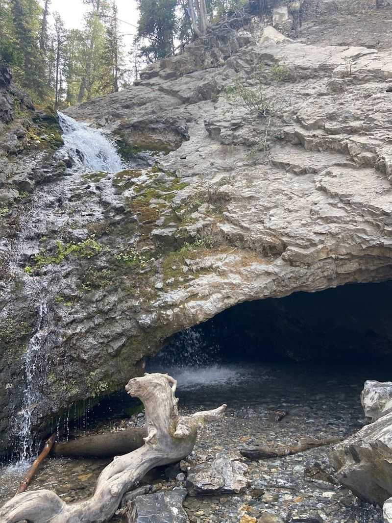 The Trail That Deceives You In The Best Way