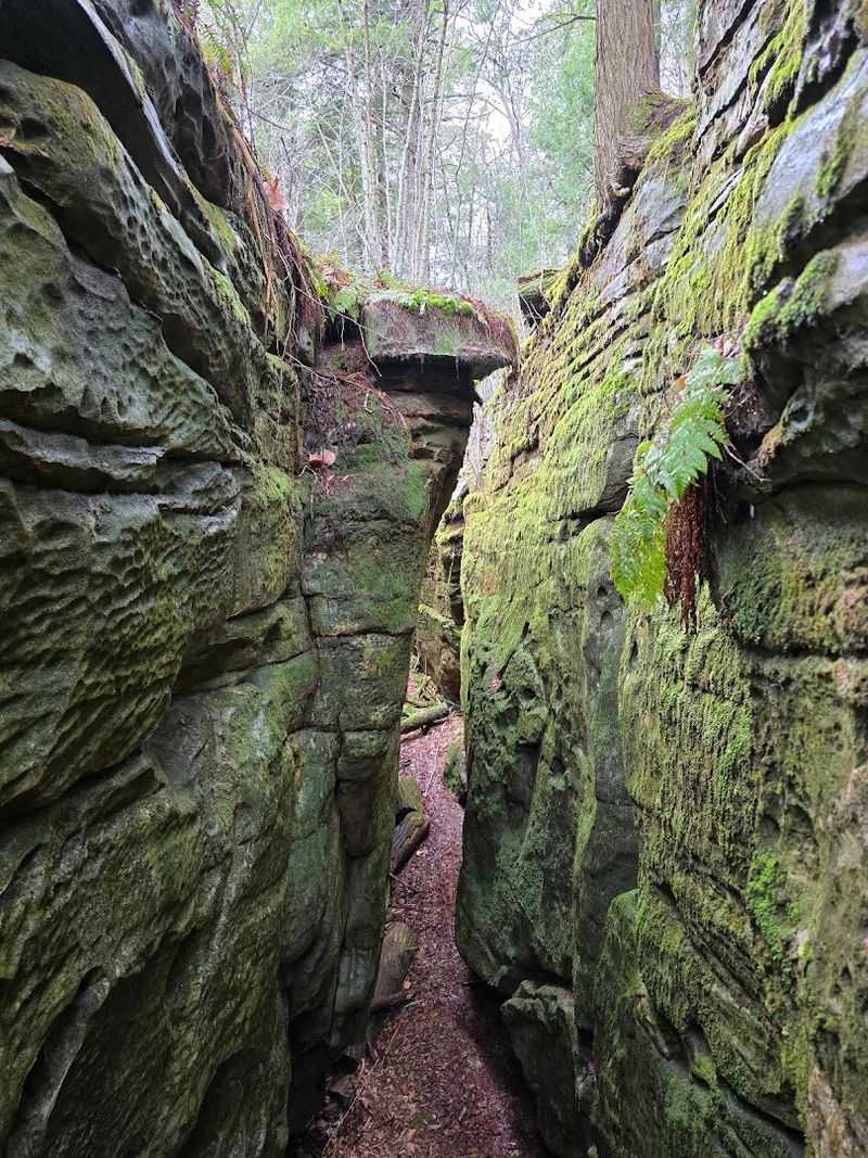 Rocks Older Than Dinosaurs