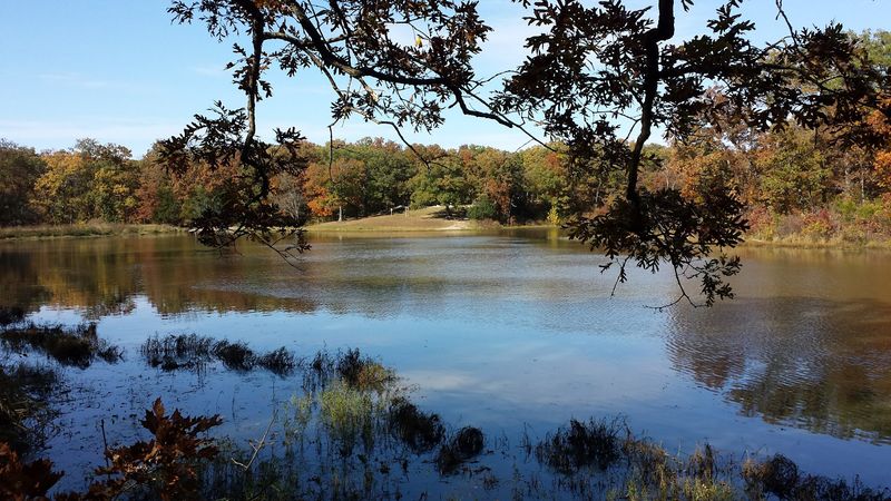 Knob Noster State Park