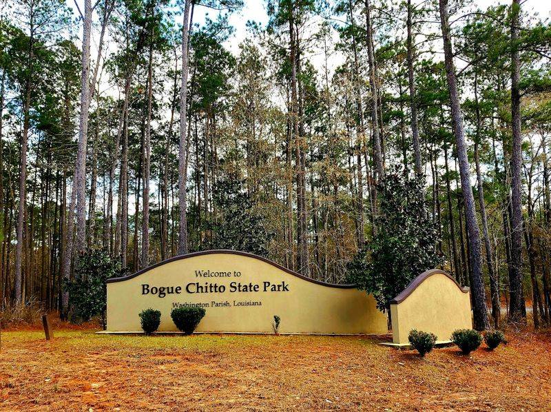 Bogue Chitto State Park, Franklinton