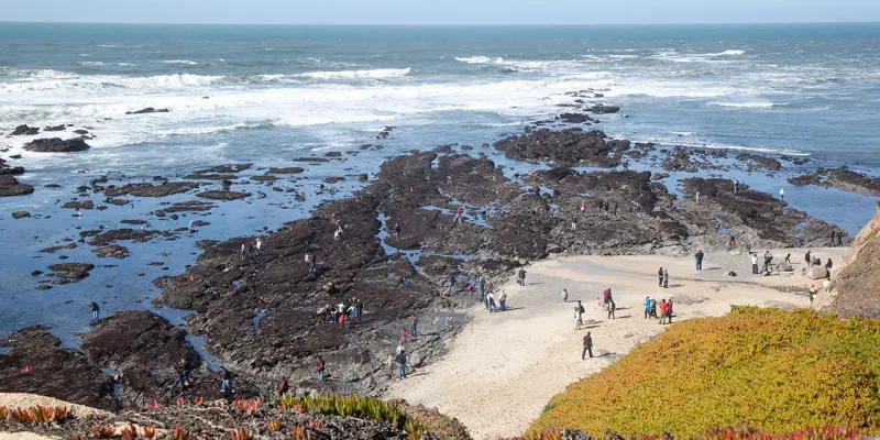 J.V. Fitzgerald Marine Reserve