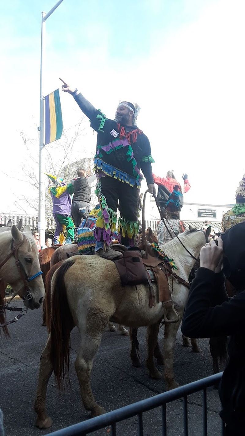 Experience A Courir De Mardi Gras Observation