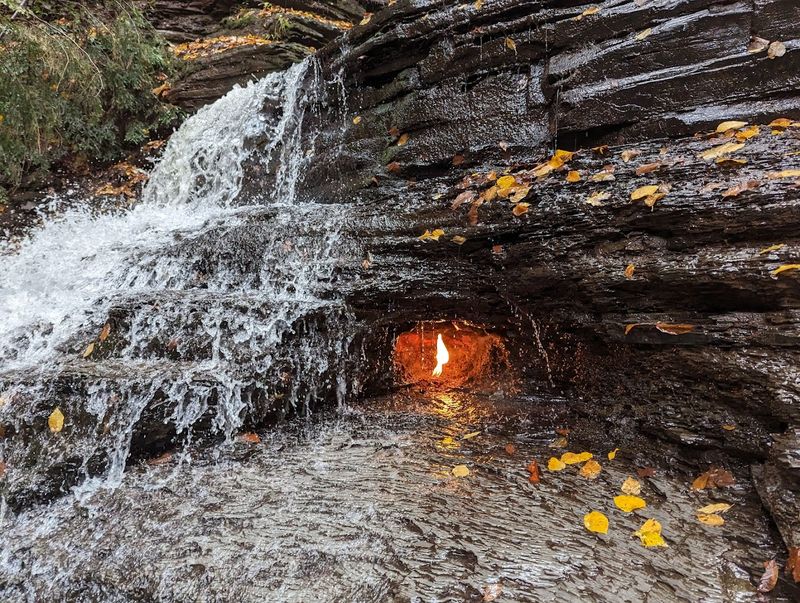 Chestnut Ridge Park Eternal Flame Trail