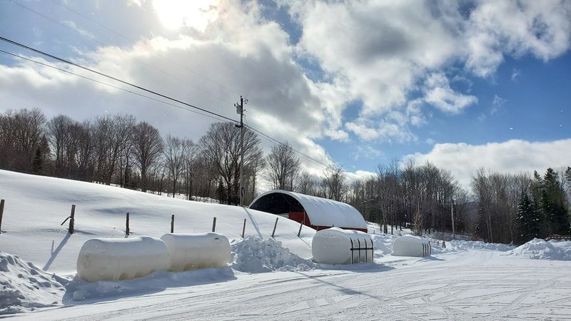 Sugar On Snow Is Real Life