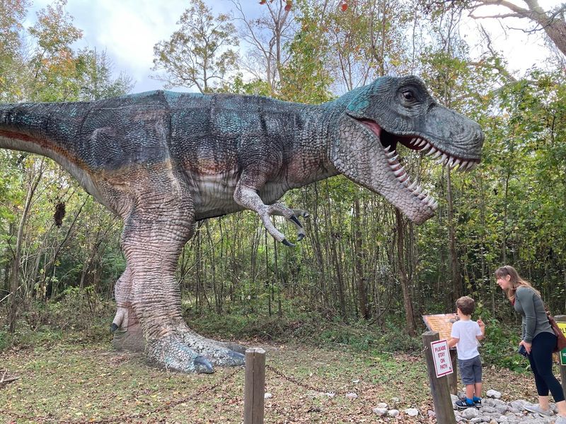 How To Find The Dinosaurs Before They Find You