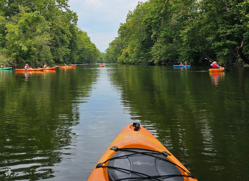 Kayaking And Floating The Shenandoah
