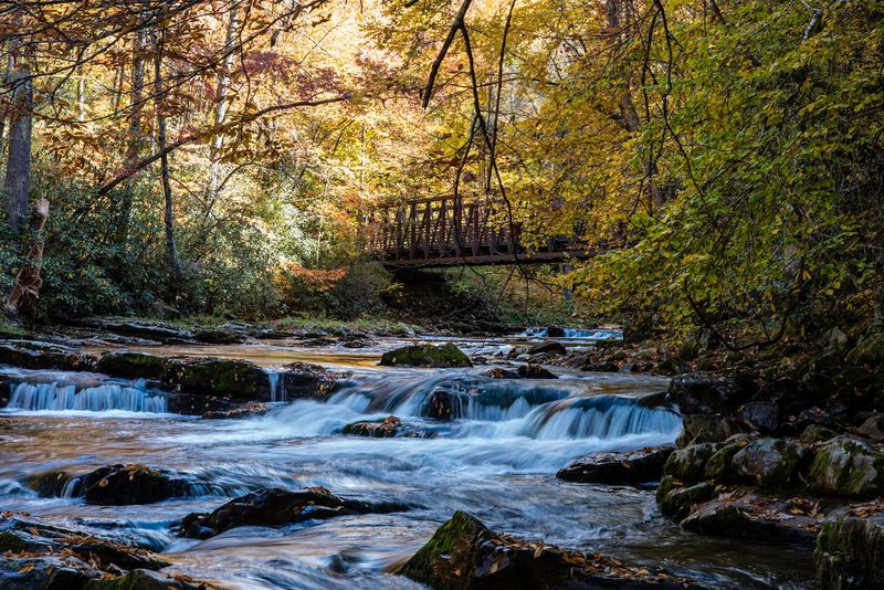 Mount Rogers National Recreation Area Along The Route
