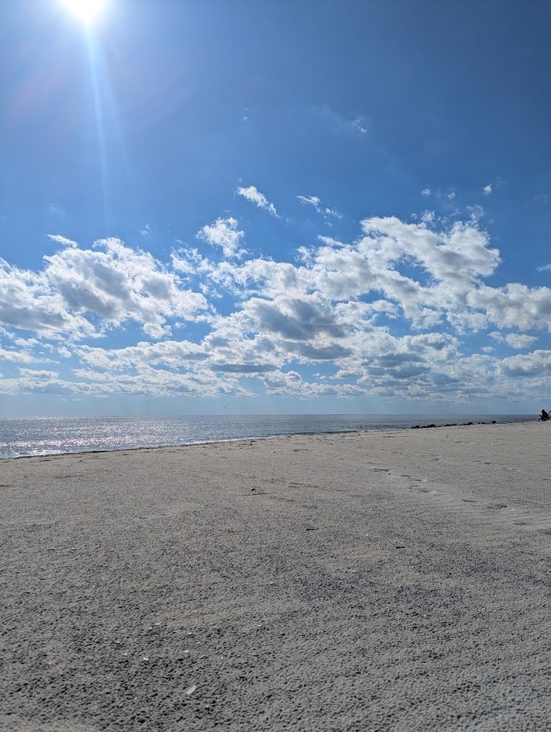 Cape May Point State Park And The Natural Side Of Things