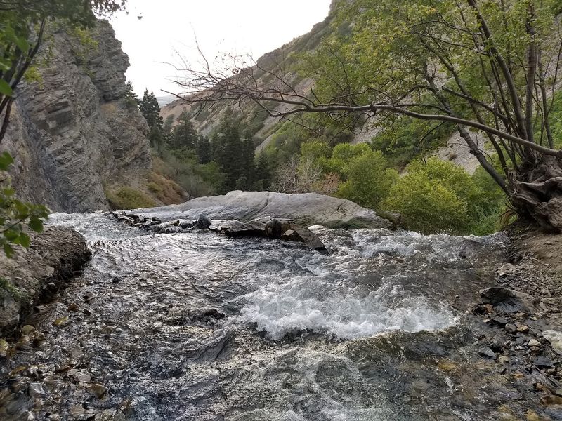Final Verdict: A Short Hike That Punches Well Above Its Distance
