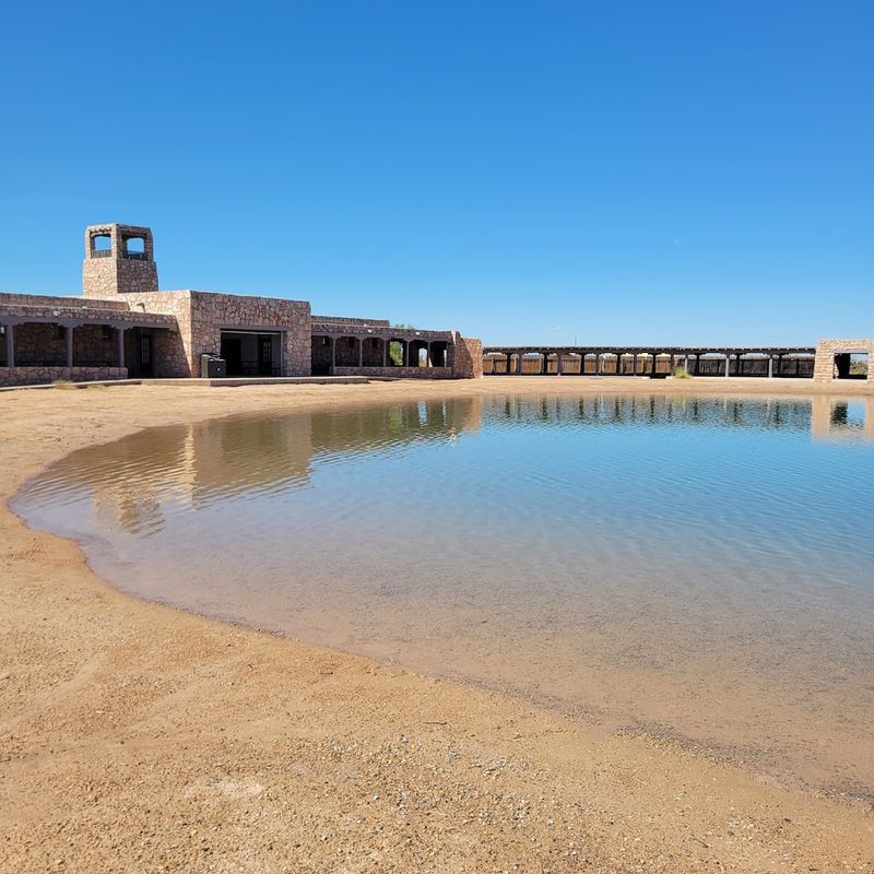 Sunlit Shores And Desert Calm