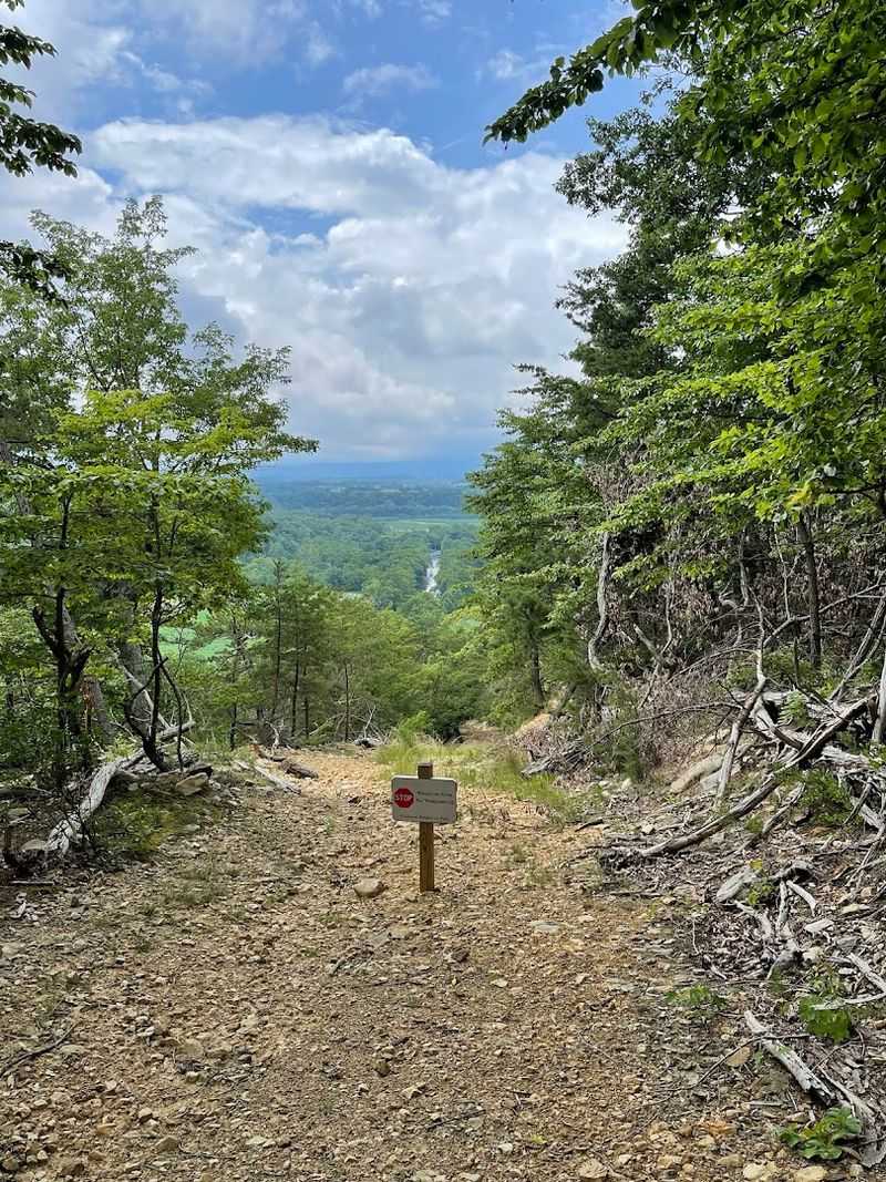 Trails That Earn The Views
