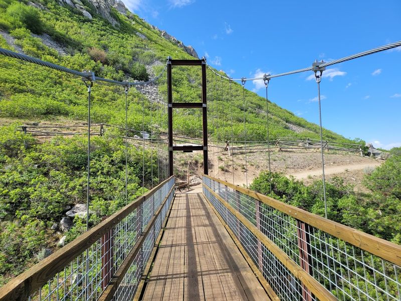 The Suspension Bridge Itself: That Moment Of Pure, Earned Thrill