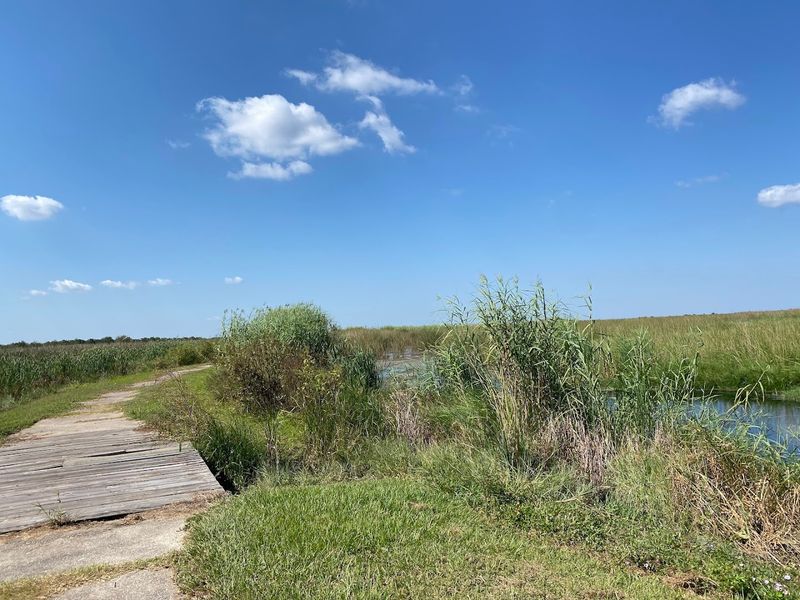 Let Highway 27 Carry You Into The Marsh