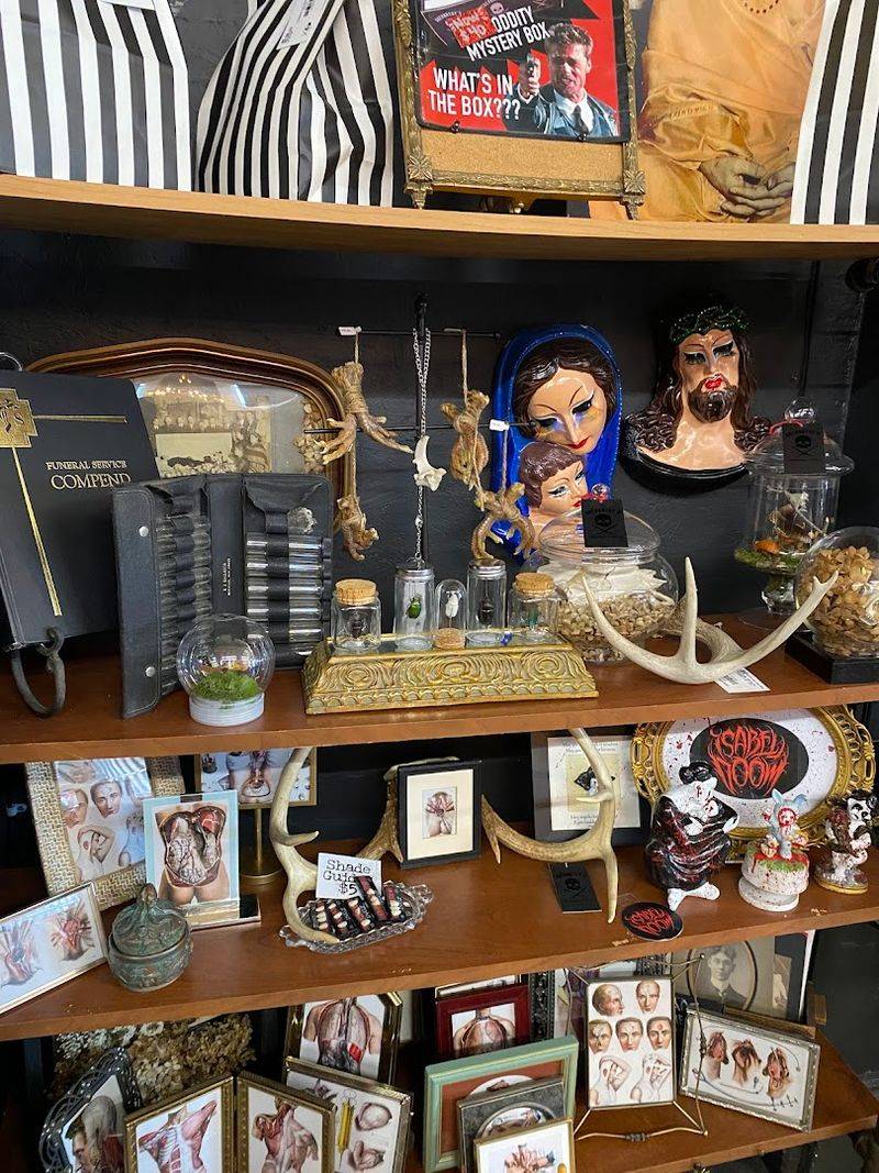 The Oddities Corner That Keeps People Talking