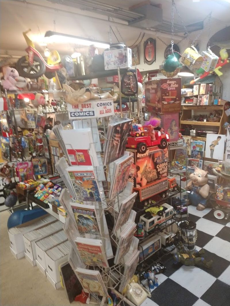 Books, Toys, and the Basement Worth Finding
