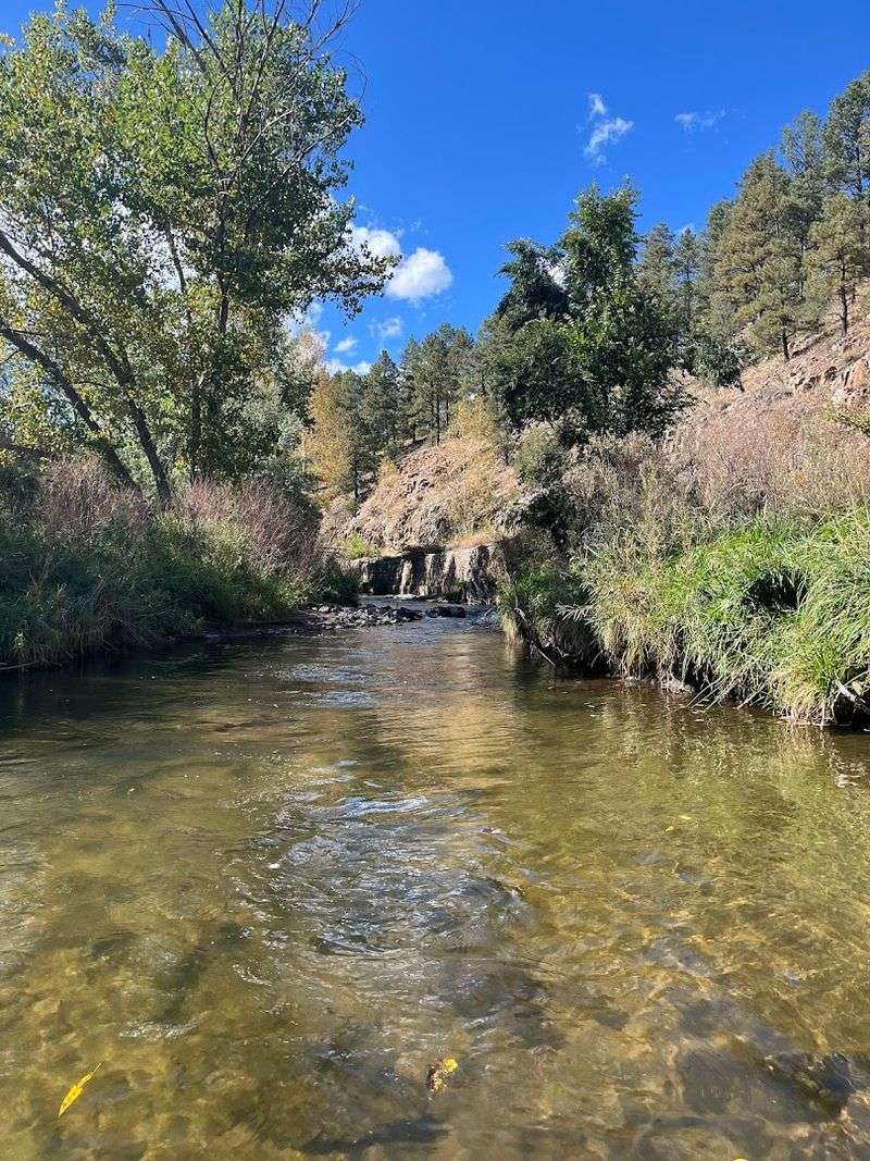 Quiet Moments Along The Riverbank