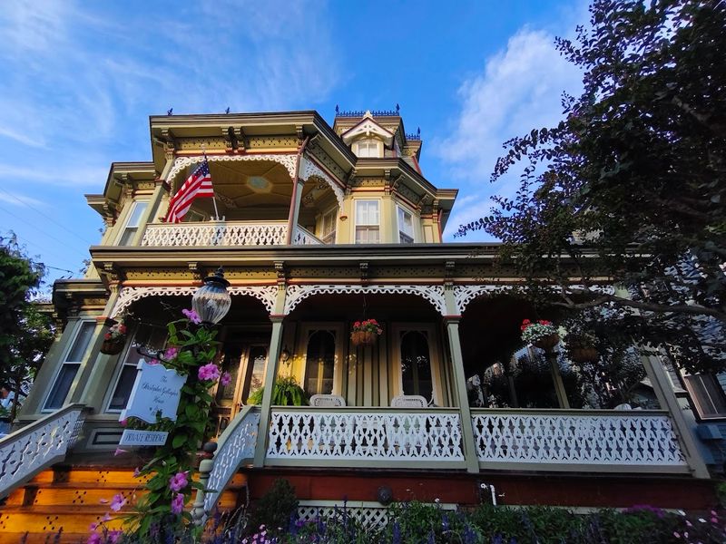 The Painted Ladies Of Cape May