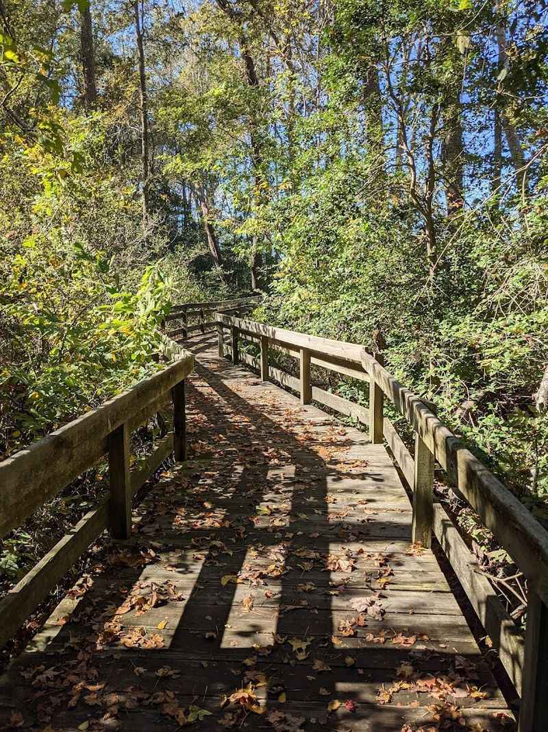 Nature Trails Worth Exploring