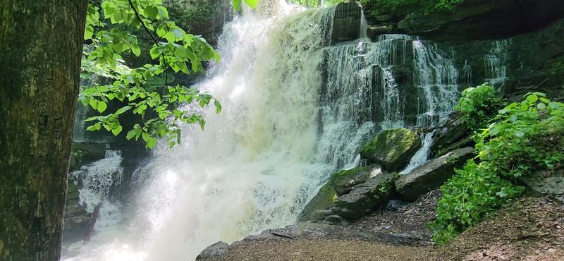 Spring Is When The Falls Come Alive