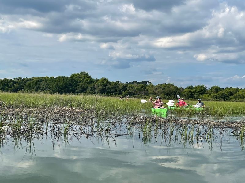 Kayaking Through The Salt Marshes