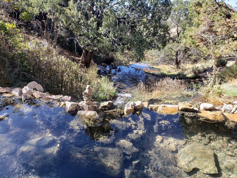 Natural Pools That Feel Like They Belong There