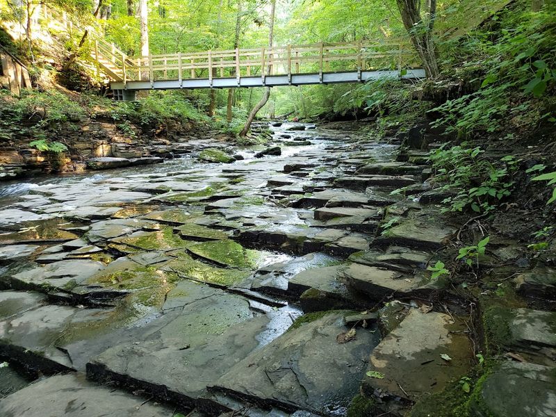 The Trail That Takes You There