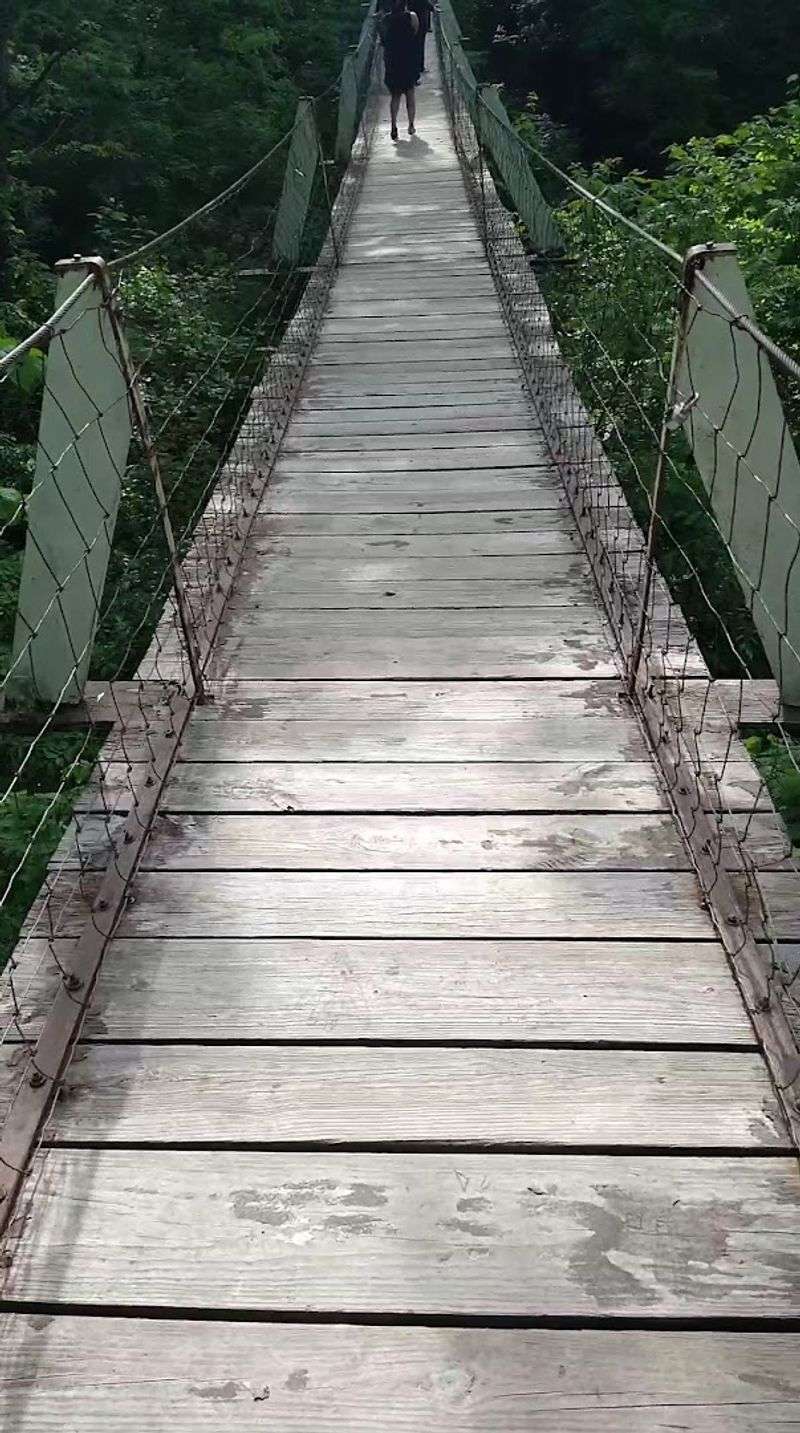 The Bridge That Actually Swings