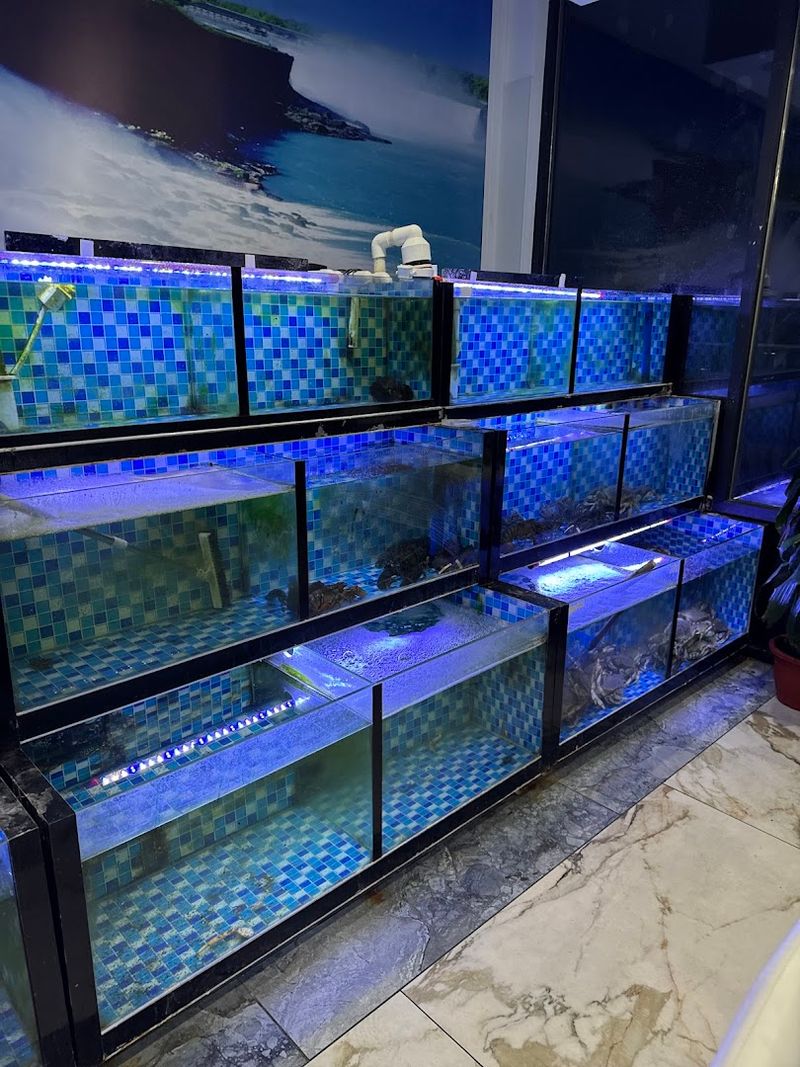 Live Seafood Tanks And Why They Matter