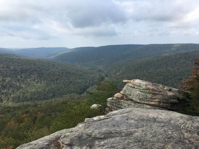 Martha's Point Overlook