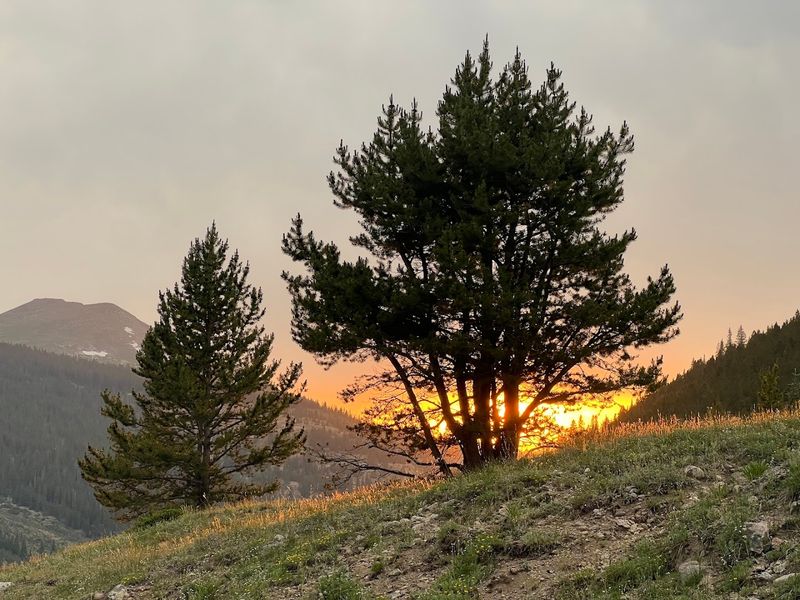 The Scenery Alone Is Worth The Drive