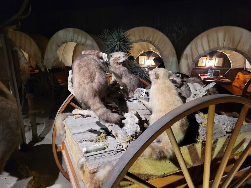 The Bottom Line On Why Prairie Schooner Earns A Spot On Your List