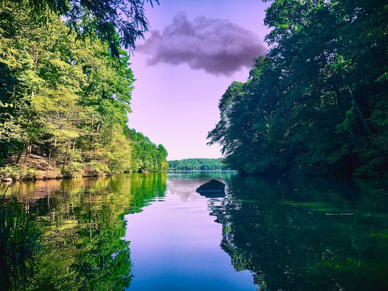 Best Time To Visit And What To Realistically Expect
