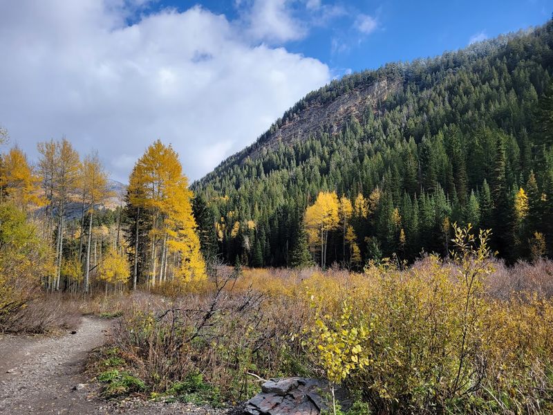 The Canyon Road Drive Is Part Of The Experience