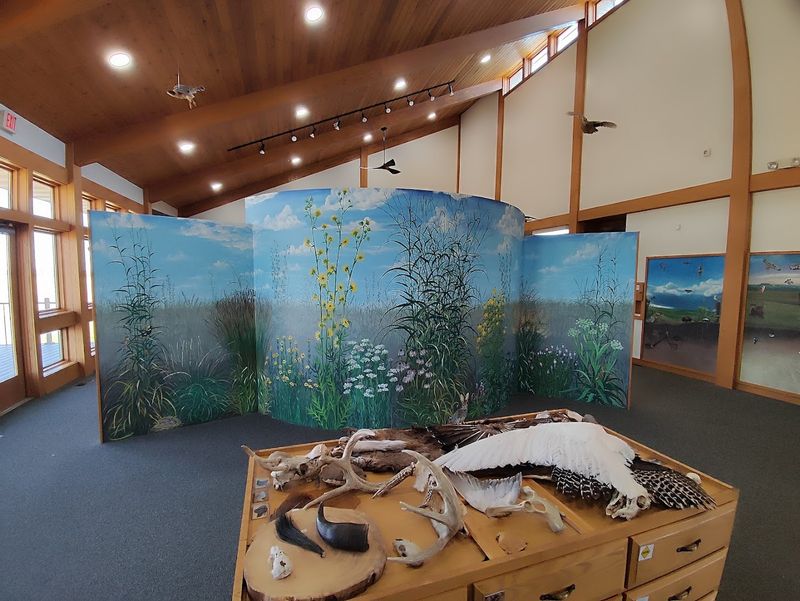 The Visitor Center and Its Surprises