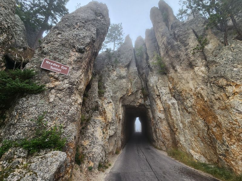 The Full Peter Norbeck Scenic Byway Connection