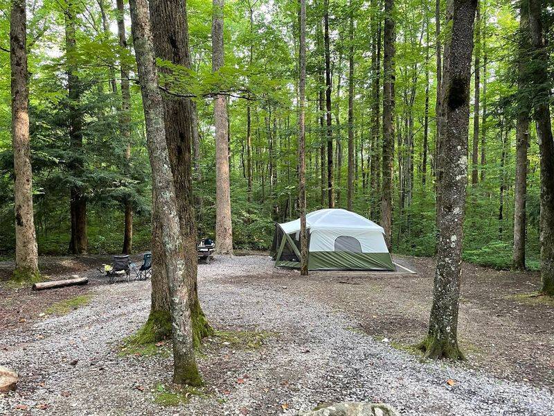 The Cosby Campground Experience