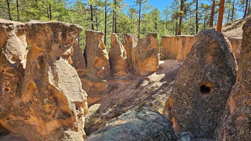 A Quiet Trail Into New Mexico's Wild Side