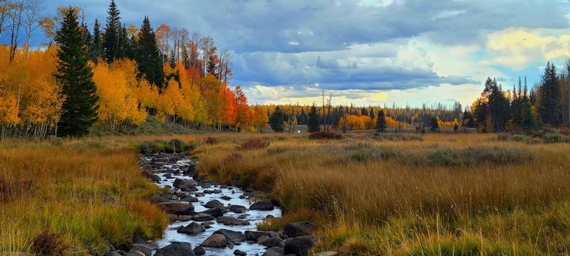 Trails That Reward Without Punishing You