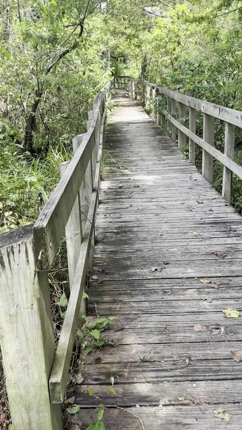 Expect Boardwalk Work