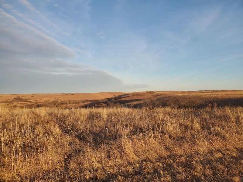 The Tallgrass Prairie That Has Never Been Plowed