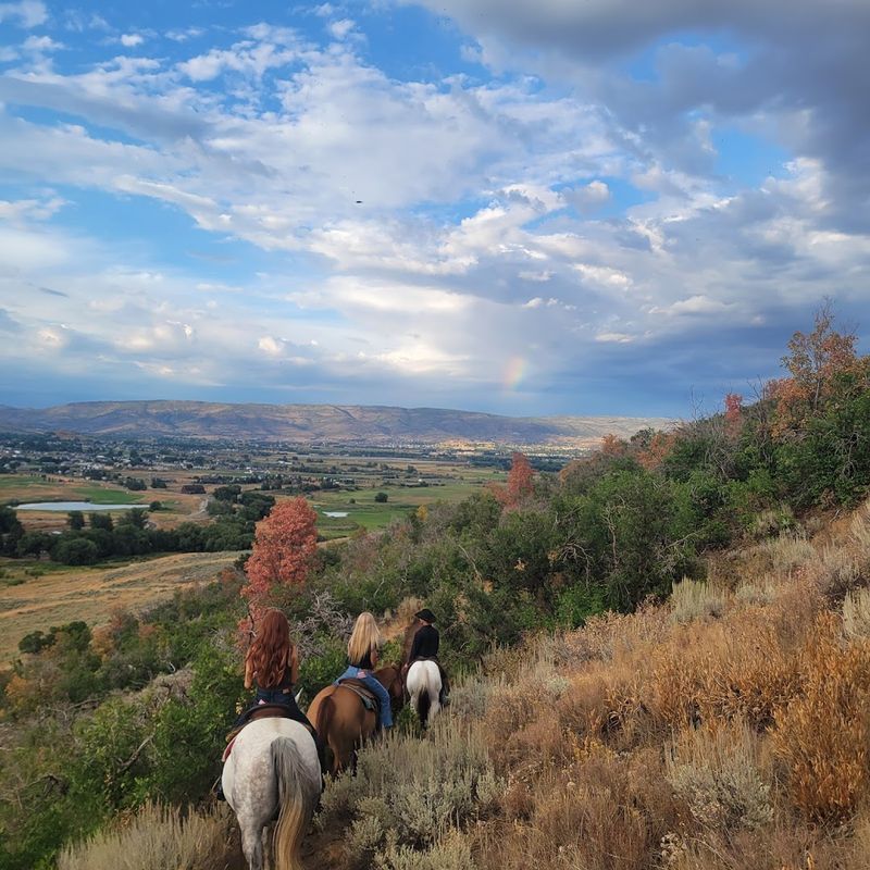 The Horses That Actually Make You Feel Like You Know What You Are Doing