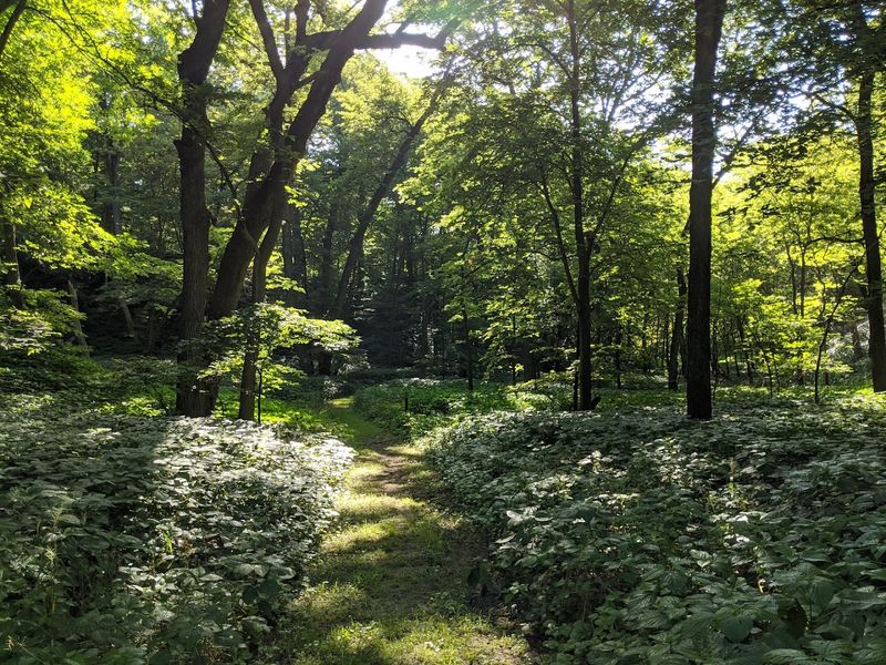 The Forgotten Settlement That Started It All