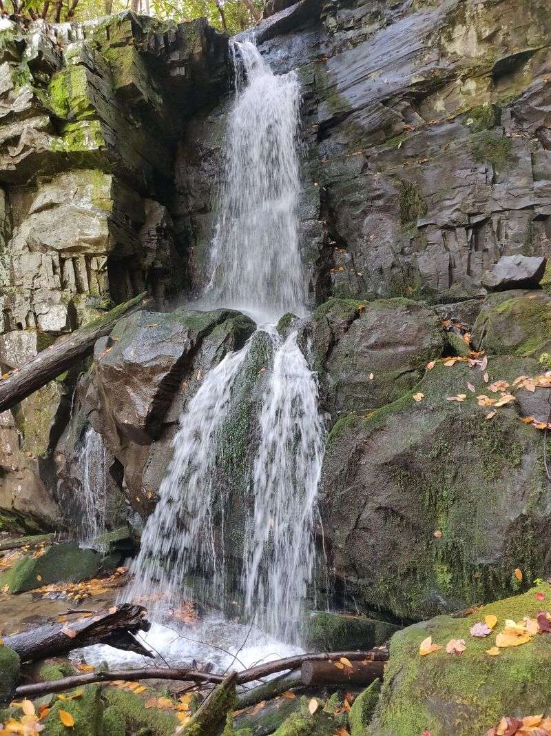 Baskins Creek Trail
