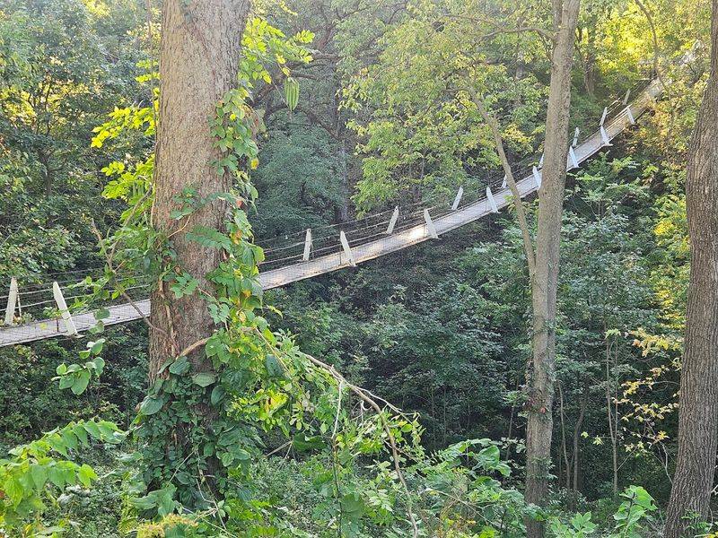 Why This Small-Town Bridge Deserves a Spot on Your Iowa Route