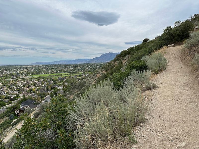 Timing Your Visit: The Difference Between A Great Hike And A Sweaty Regret