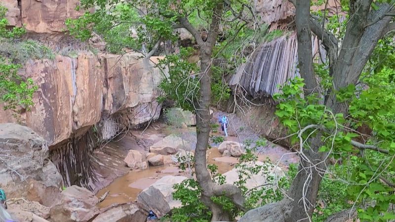 How Families, Couples, And Solo Hikers All Win Here